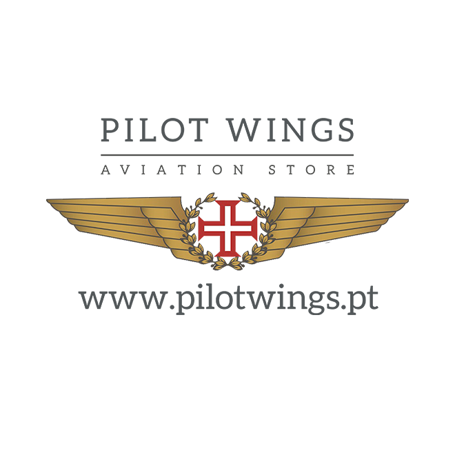 Pilot Wings